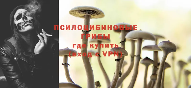 Псилоцибиновые грибы MAGIC MUSHROOMS  Правдинск 